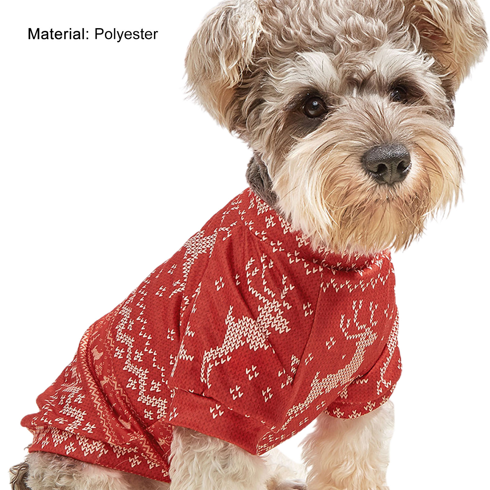 outdoor dog apparel